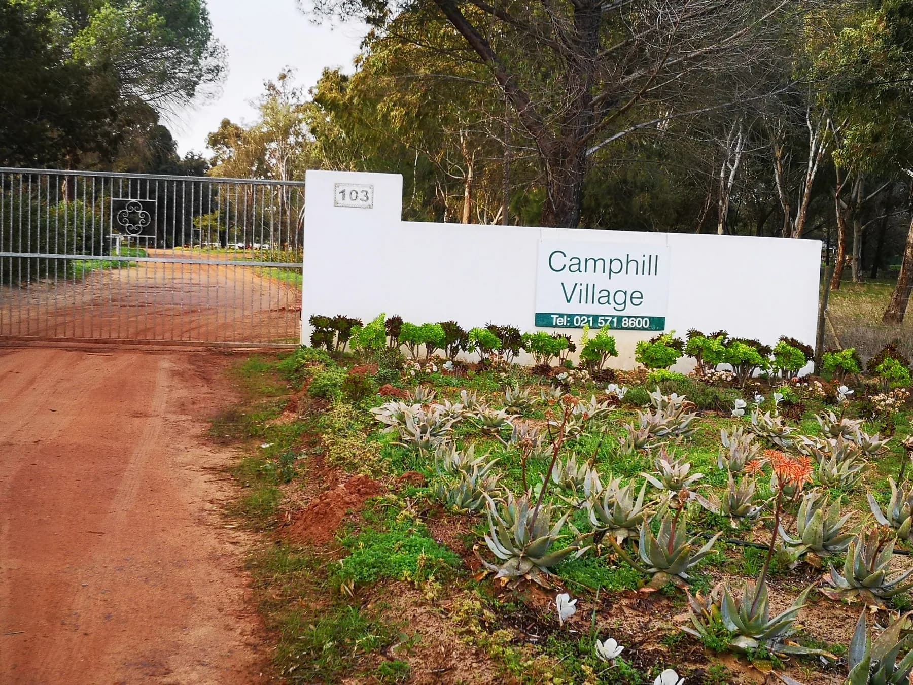 The whitewashed entrance wall to Camphill Village at 103 Klein Dassenberg Road, with a bed of aloes and succulents beside the gravel drive leading into the tree-filled village.