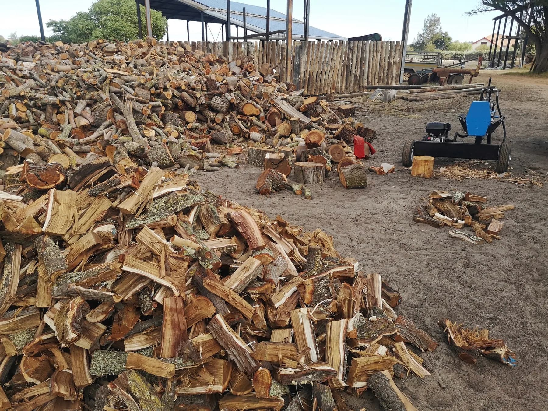 Two large piles in the wood yard: whole logs waiting to be cut on one side, split firewood ready for sale on the other.