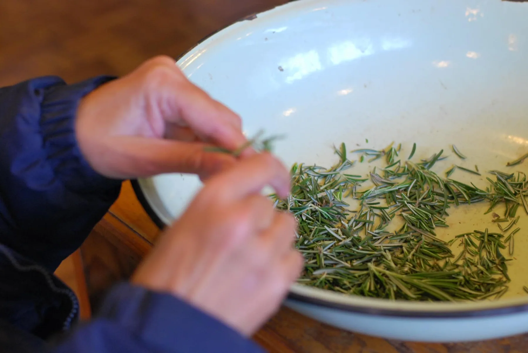 Two hands stripping fresh rosemary leaves into a white enamel bowl on a wooden table in the Camphill workshop