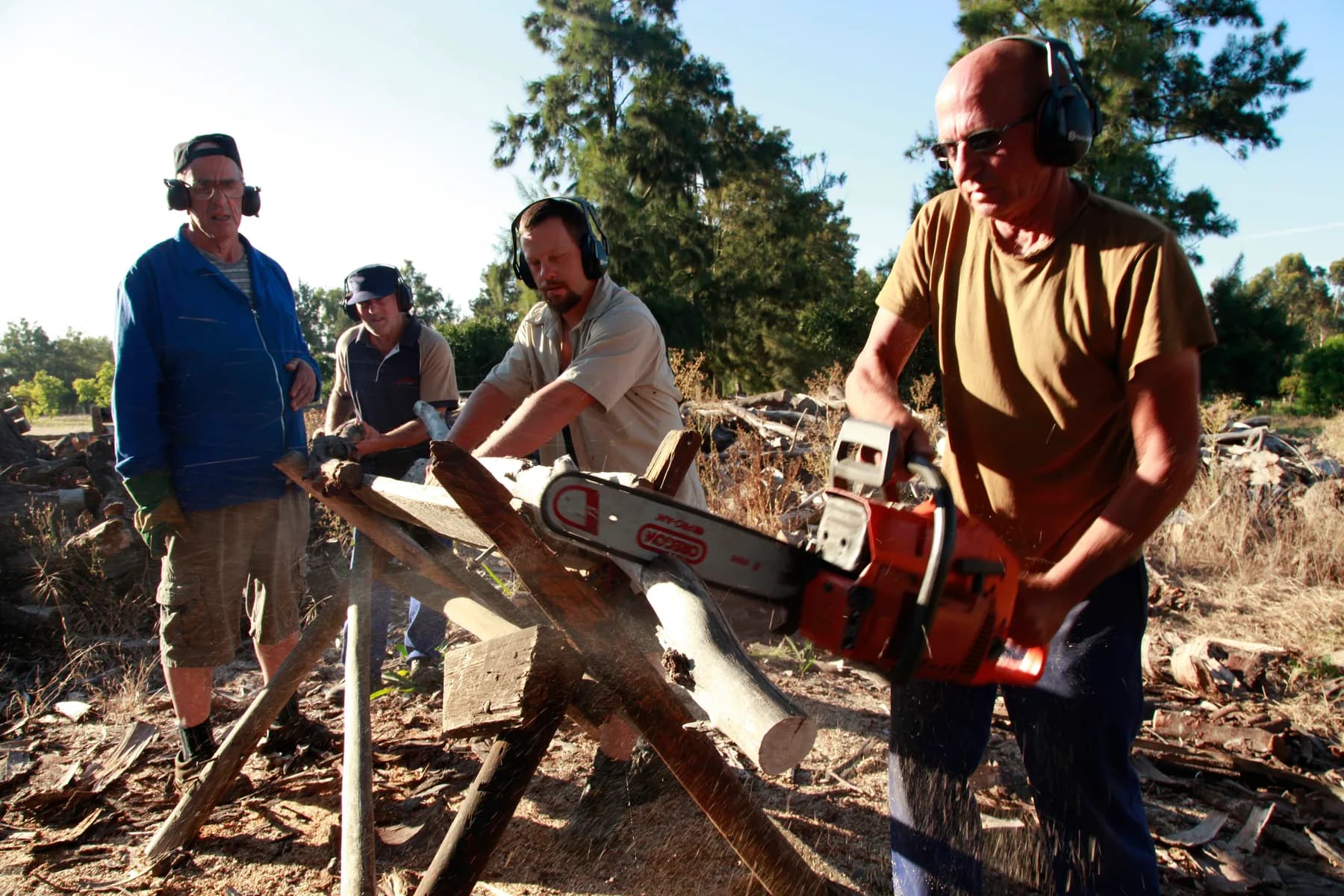 Four men in ear defenders cutting eucalyptus logs into firewood with a chainsaw and a wooden sawhorse on the village woodlot.