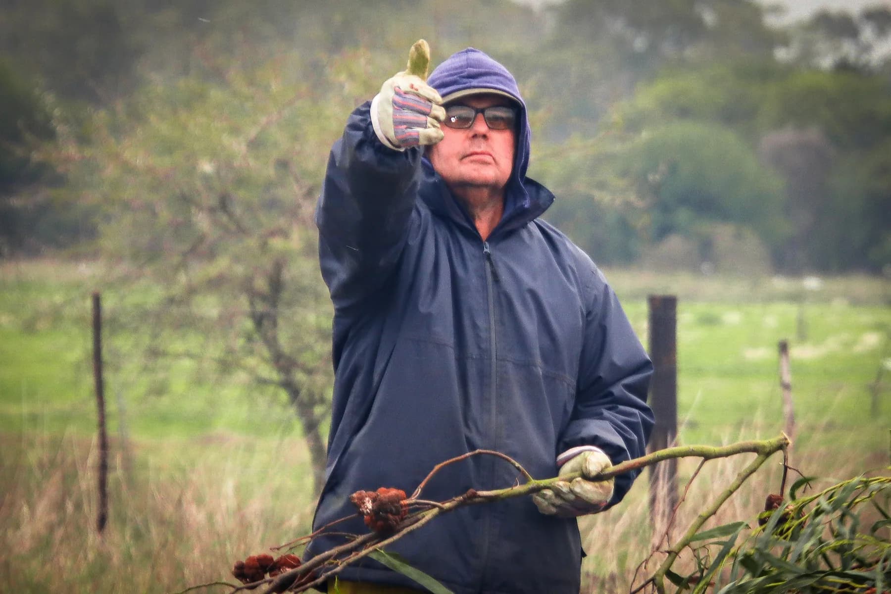 A resident in a navy hooded rain jacket and work gloves raising a gloved hand at the fence line while clearing cut branches from a wet farm paddock.
