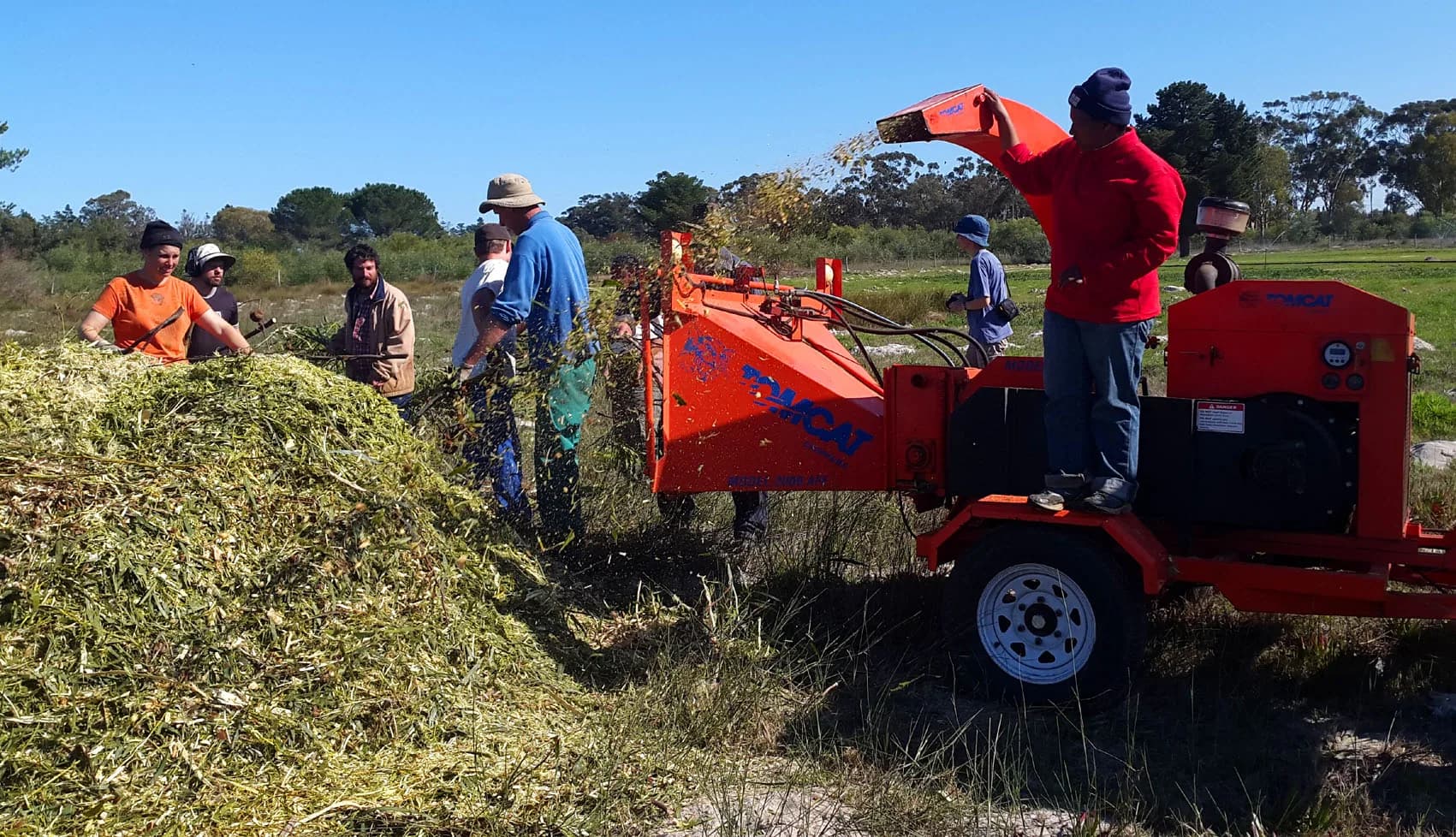 A group working together in a field at Camphill Village, feeding cut branches into an orange wood chipper.