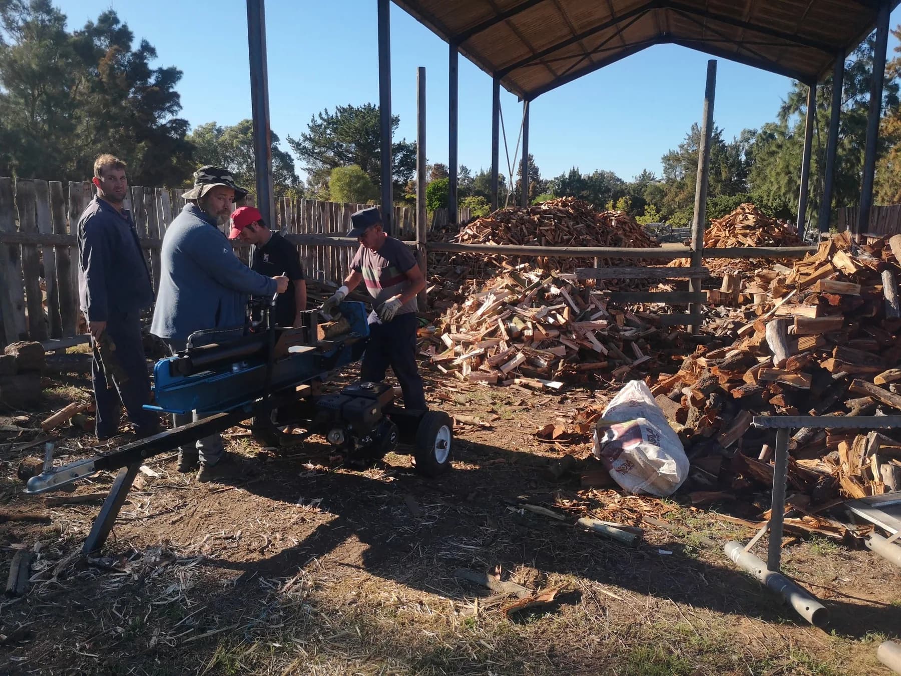 Camphill workers feeding logs through a hydraulic log splitter beside head-high stacks of split firewood under an open shed.