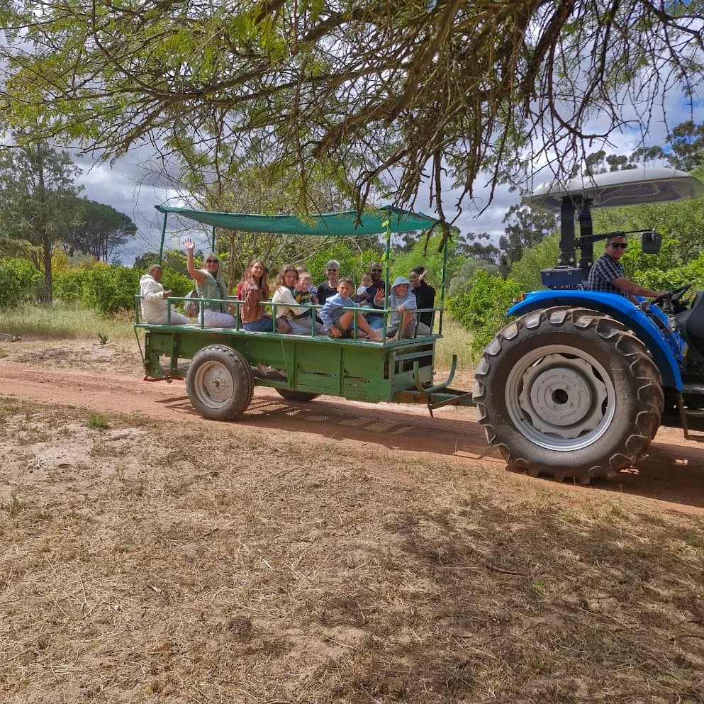 Market visitors waving from a shaded green trailer as a tractor pulls them along a farm track